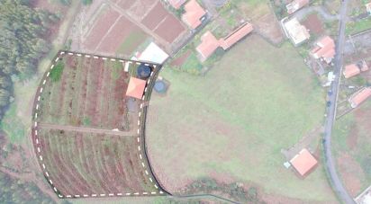 Land in Prazeres of 10,000 m²