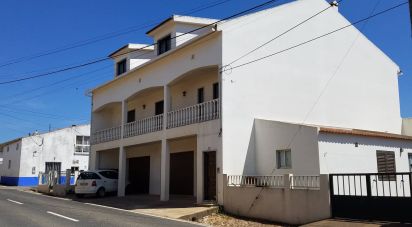House T4 in Lamas e Cercal of 240 m²
