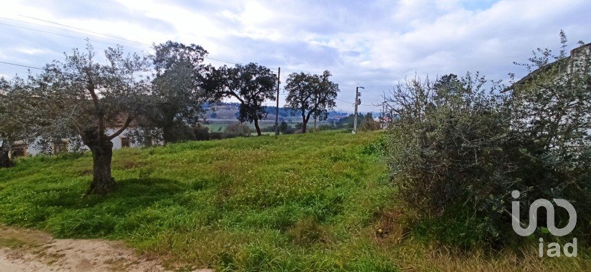 Building land in Coruche, Fajarda e Erra of 3,220 m²