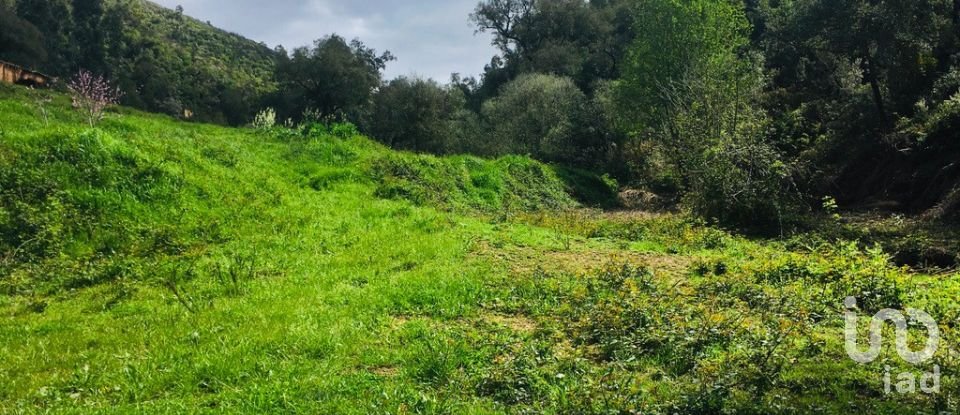 Building land in Marmelete of 65,160 m²