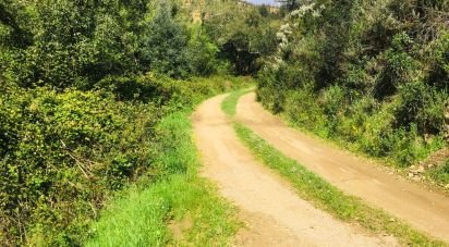 Terrain à bâtir à Marmelete de 65 160 m²