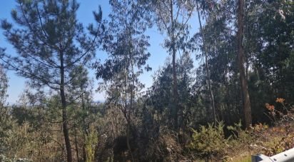 Terrain à Penamaior de 13 000 m²