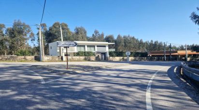 Terrain à Penamaior de 13 000 m²