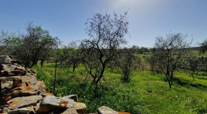 Terrain à Santana de Cambas de 10 000 m²