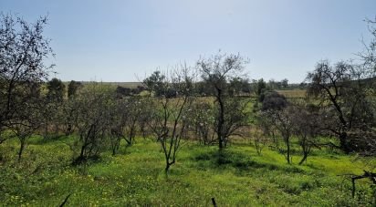 Terrain à Santana de Cambas de 10 000 m²