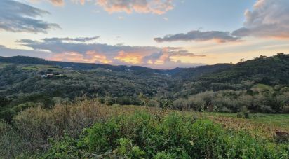 Terrain à Mafra de 1 375 m²