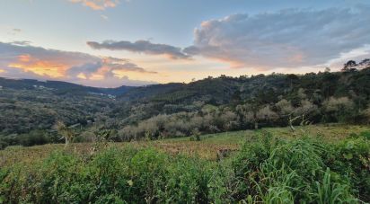 Terrain à Mafra de 1 375 m²