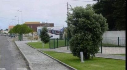 Terrain à bâtir à Gafanha da Nazaré de 334 m²