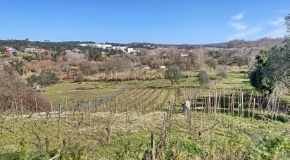 Building land in Milagres of 2,010 m²