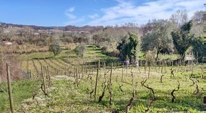 Terrain à bâtir à Milagres de 2 010 m²