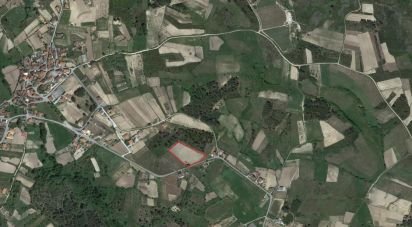 Terreno Agrícola em Ervededo de 9 600 m²