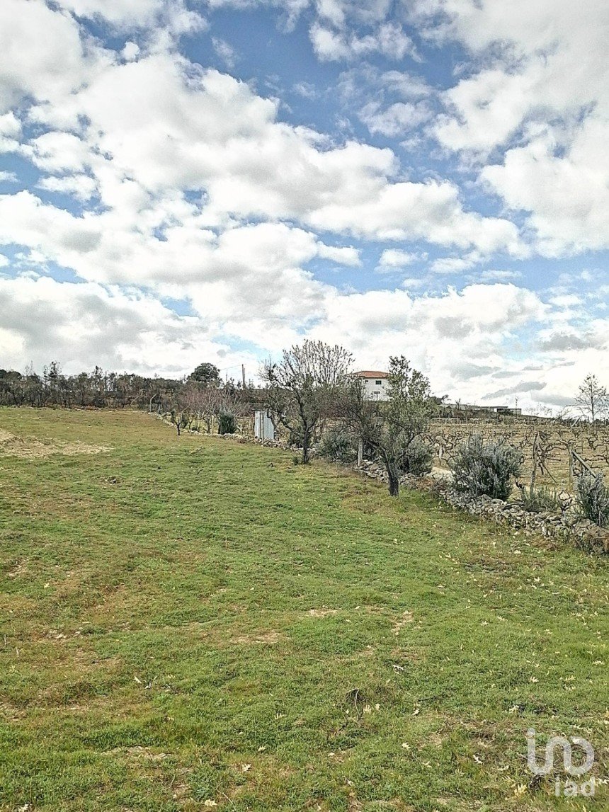 Terrain à bâtir à Ervededo de 9 600 m²