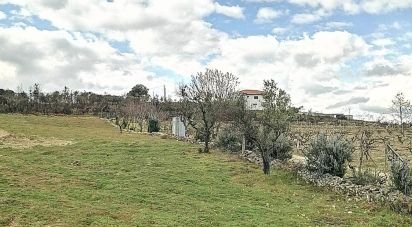 Terrain à bâtir à Ervededo de 9 600 m²