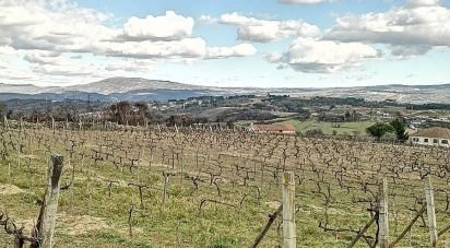 Terrain à bâtir à Ervededo de 9 600 m²