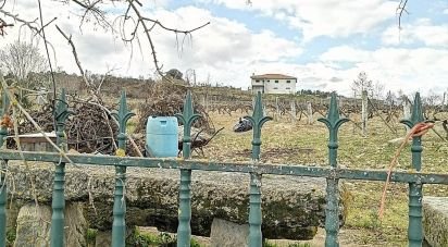 Terrain à bâtir à Ervededo de 9 600 m²