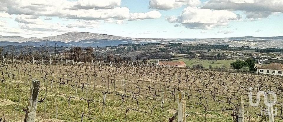 Terrain à bâtir à Ervededo de 9 600 m²