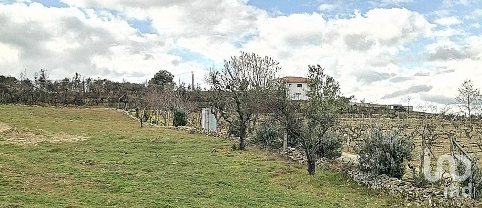 Terrain à bâtir à Ervededo de 9 600 m²