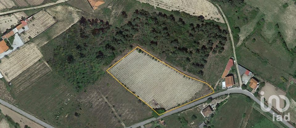 Terreno para construção em Ervededo de 9 600 m²