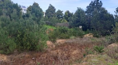 Terrain à Vila verde de 210 m²