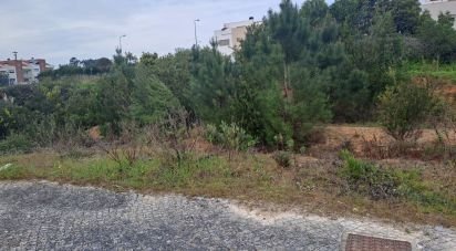 Terrain à Vila verde de 210 m²