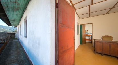 Murs commerciaux à Vila Nova do Ceira de 579 m²