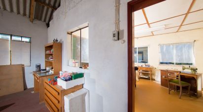 Murs commerciaux à Vila Nova do Ceira de 579 m²