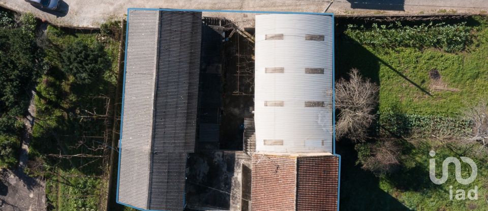 Commercial walls in Vila Nova do Ceira of 579 m²