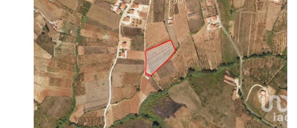 Terreno para construção em Lamas e Cercal de 7 600 m²