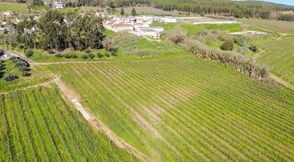 Terrain agricole à Carvoeira e Carmões de 81 070 m²