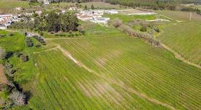 Terrain agricole à Carvoeira e Carmões de 77 230 m²