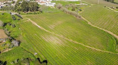 Terreno Agrícola em Carvoeira e Carmões de 75 000 m²