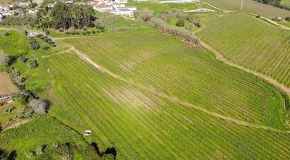 Terrain agricole à Carvoeira e Carmões de 81 070 m²