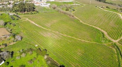 Terrain agricole à Carvoeira e Carmões de 81 070 m²