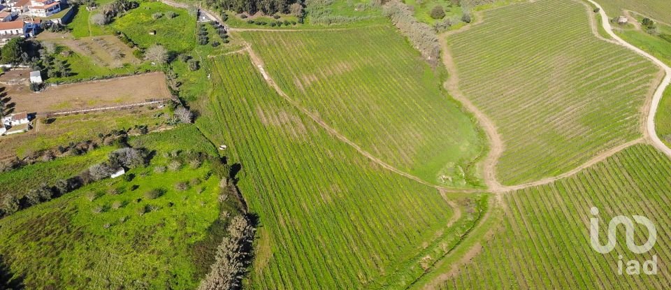 Agricultural land in Carvoeira e Carmões of 77,230 m²