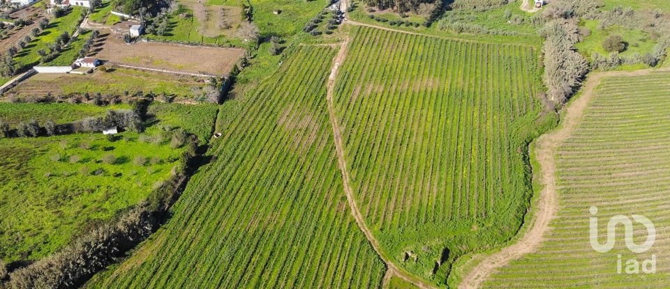 Terreno Agrícola em Carvoeira e Carmões de 77 230 m²