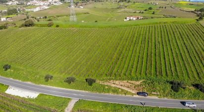 Terrain agricole à Carvoeira e Carmões de 35 000 m²