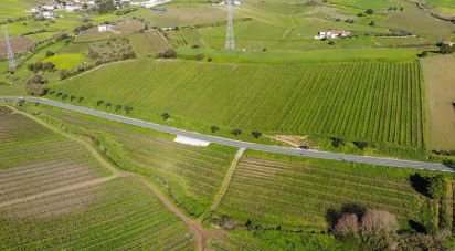 Terrain agricole à Carvoeira e Carmões de 35 000 m²