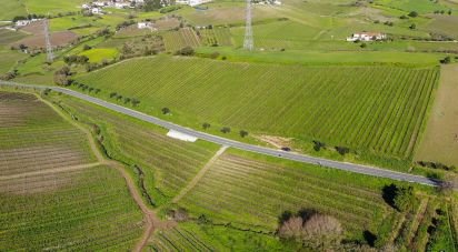 Terrain agricole à Carvoeira e Carmões de 35 000 m²