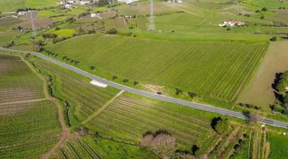 Terreno Agrícola em Carvoeira e Carmões de 35 000 m²