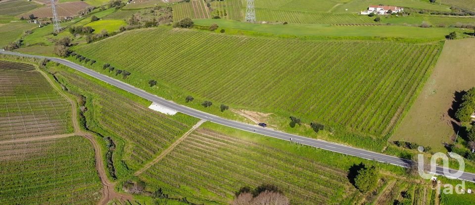 Agricultural land in Carvoeira e Carmões of 35,000 m²
