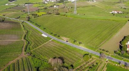 Agricultural land in Carvoeira e Carmões of 35,000 m²