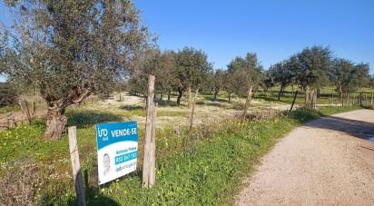 Terrain à Galveias de 20 120 m²