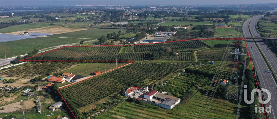Farm T5 in Quinta do Anjo of 772 m²