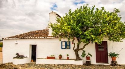 Ferme T12 à Terrugem E Vila Boim de 532 m²