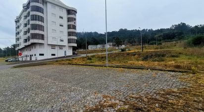 Building land in Darque of 9,900 m²