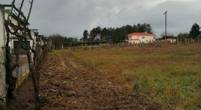 Terrain à bâtir à Vale de Anta de 9 521 m²