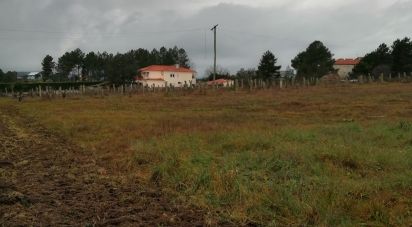 Terrain à bâtir à Vale de Anta de 9 521 m²