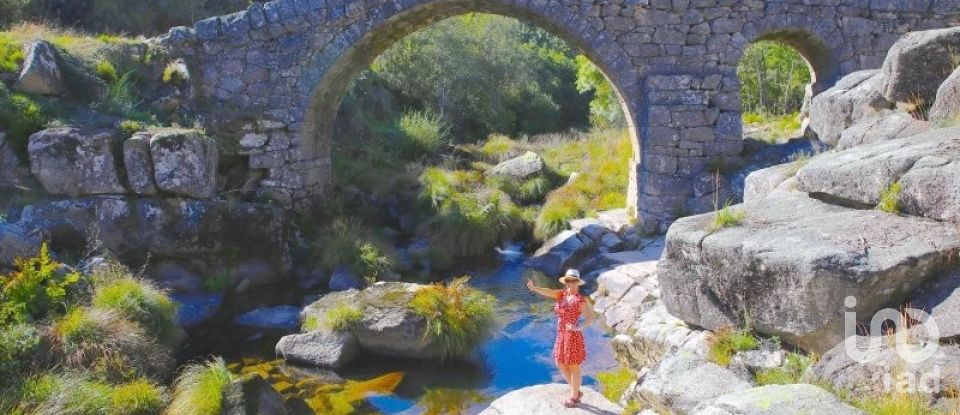 Terreno em Prado e Remoães de 5 800 m²