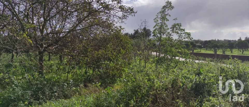 Building land in Mexilhoeira Grande of 5,200 m²