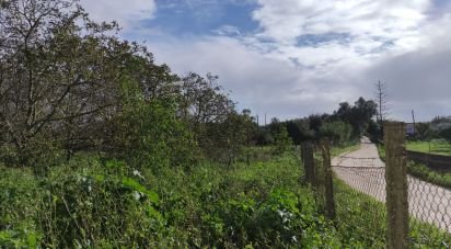 Terreno Agrícola em Mexilhoeira Grande de 5 200 m²